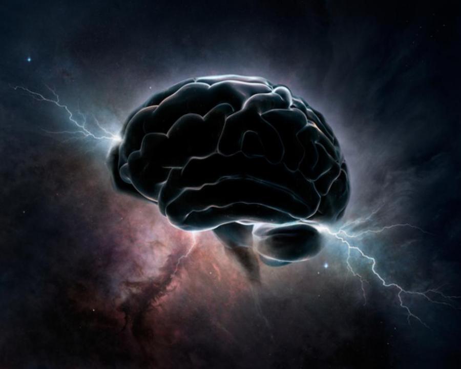 Откриха защо мозъкът използва толкова много енергия 