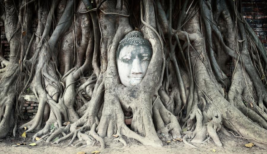 Това са едни от най-популярните статуи на Буда