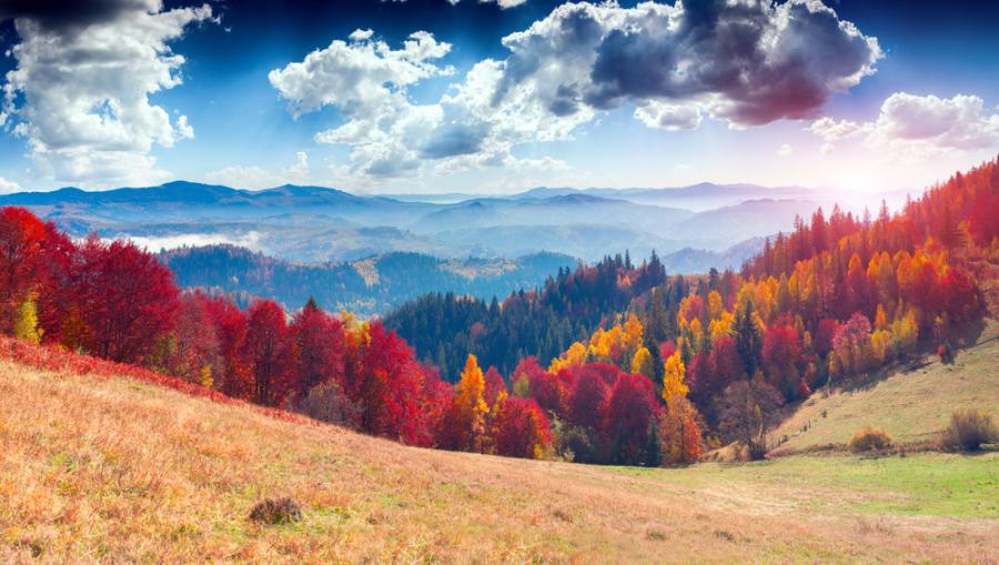 Всичко е по-красиво през есента и тези 21 фотографии го доказват