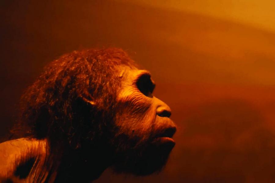 Предците на хората са ходили на два крака преди 3.6 милиона години