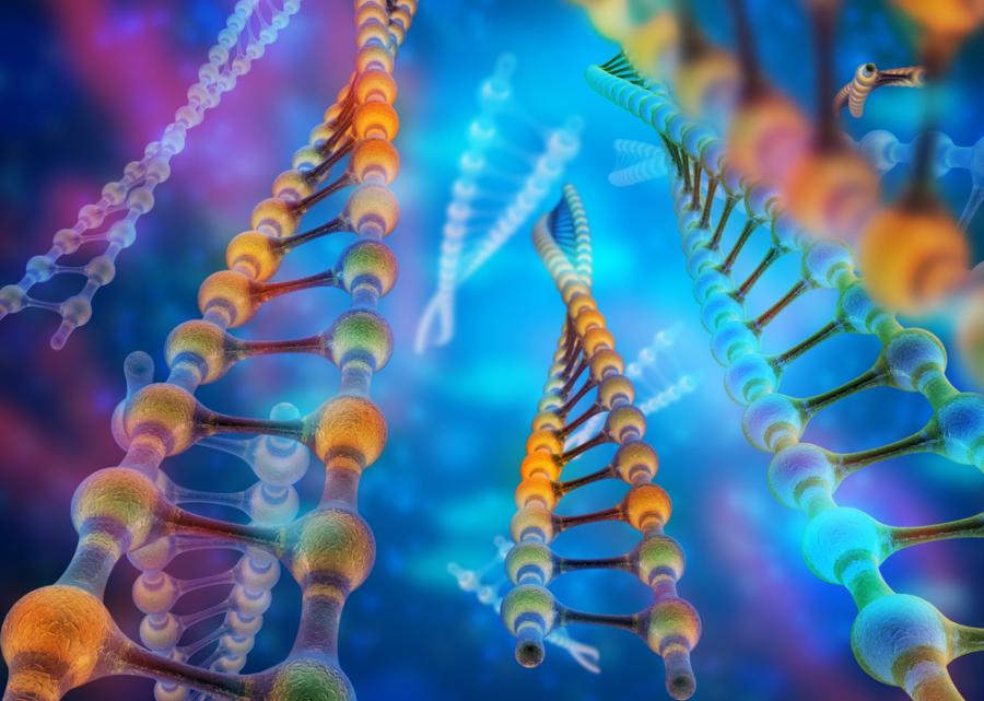 Динамичната структура на ДНК