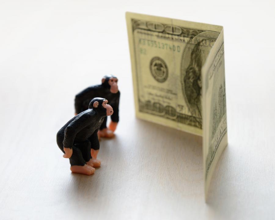 Парите променят дори и маймуните