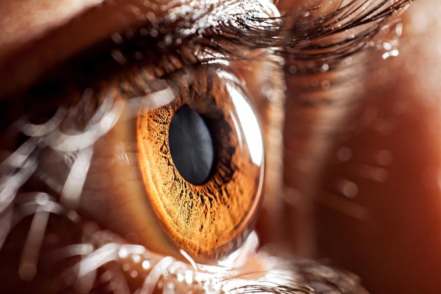 10 трика за по-здрави очи