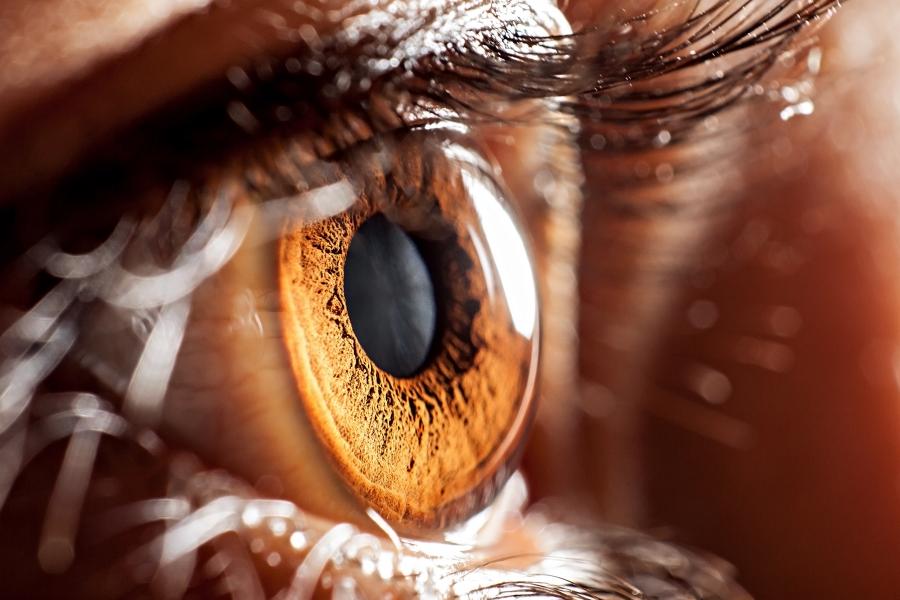 Учени впръскват капки за нощно зрение в очите на човек