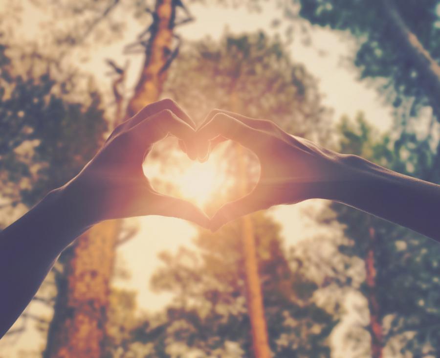 15 научни факта за любовта