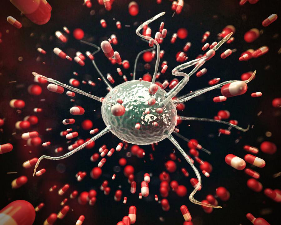 Как един отдавна забравен вирус може да разреши кризата с антибиотиците