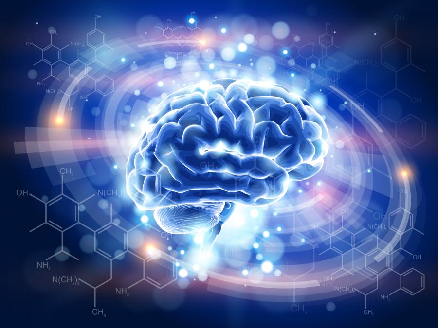 Как въображението ни тренира за действителните неща