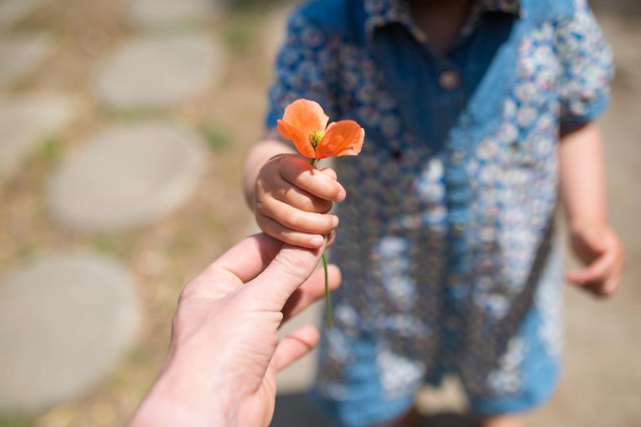 12 трогателни истории, които не могат да бъдат игнорирани