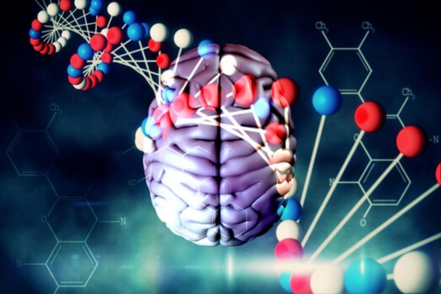 Тази камера е толкова малка, че може да бъде инжектирана в човешки мозък