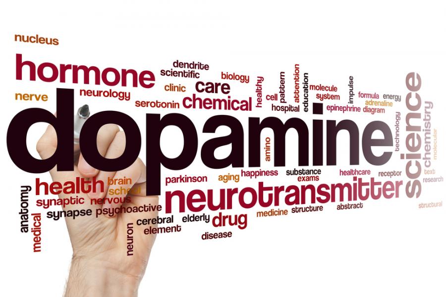 Видео: 3D анимация на допамин реакции в мозъка