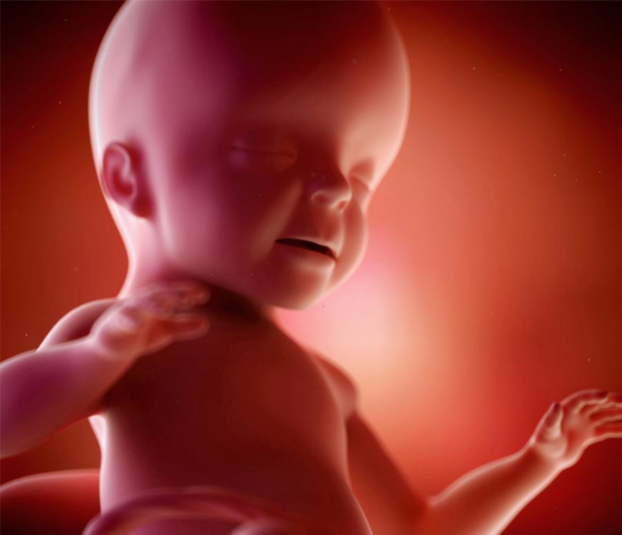 Още в утробата на мама бебето прави гримаси