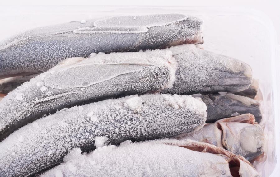 Видео: Жива риба се съживява след като е замразена при -36 градуса Целзий