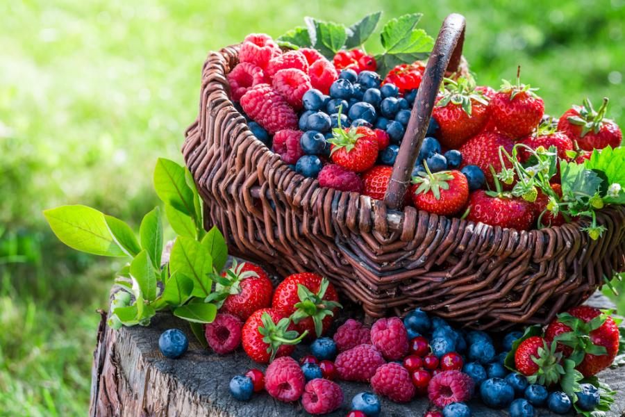 3 вкусни плода, които предпазват мозъка от стареене
