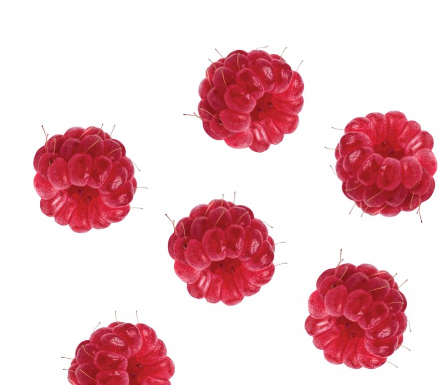 Видео: малини се разбиват на парченца 