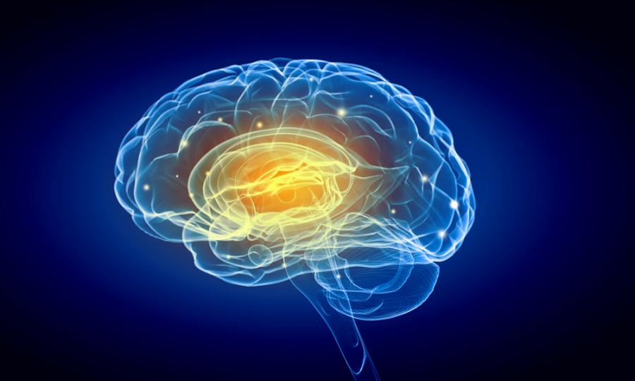 Учени откриха “горещата зона” в мозъка, която се активира при сънища
