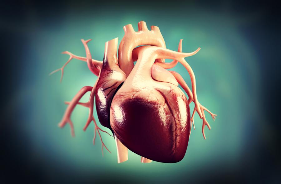 Слабото сърце състарява мозъка по-бързо