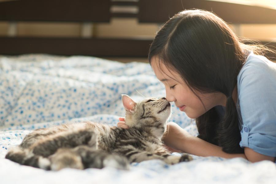 Котките се привързват към хората емоционално така, както кучетата и децата