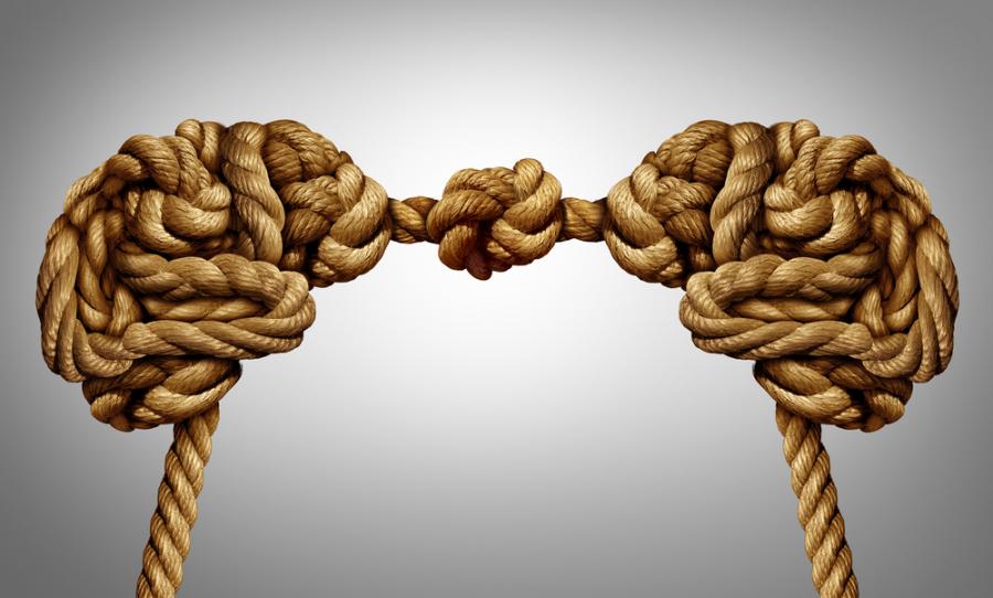 Общуването на мозък с мозък е факт. Как го постигнахме?