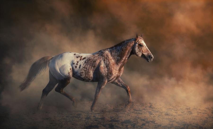 10 редки животни, които ще ви удивят с външния си вид