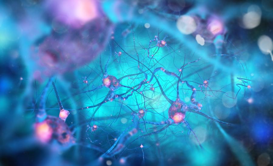 Учените откриха начин как да помогнат на нервните влакна да се възстановят