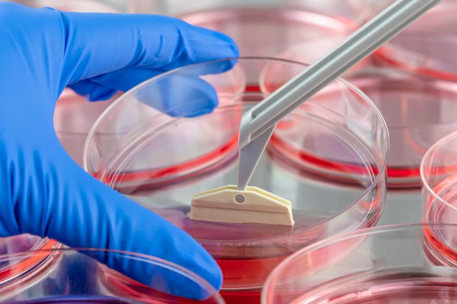 Разработват нов метод за регенериране на различни видове тъкани