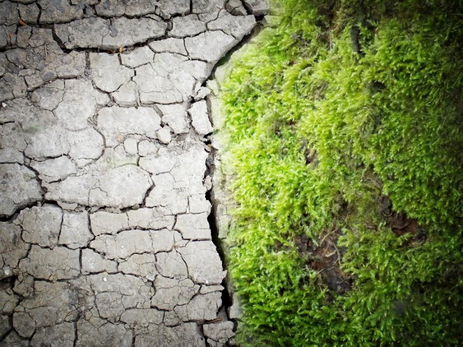 Какво представлява животът? Смъртта истинска ли е?