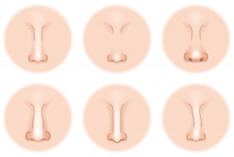 Климатът е отговорен за формата на вашия нос