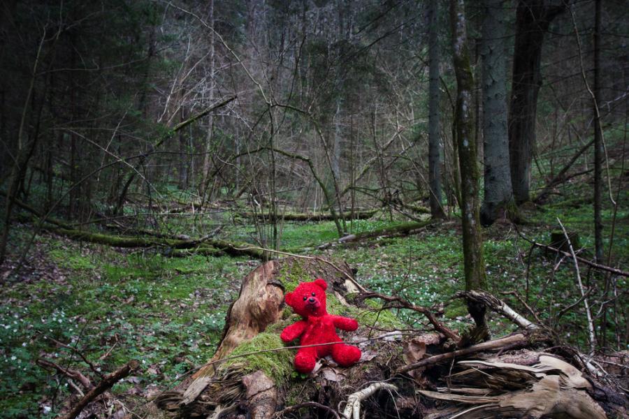 Мистериозната легенда за зелените деца от Улпит