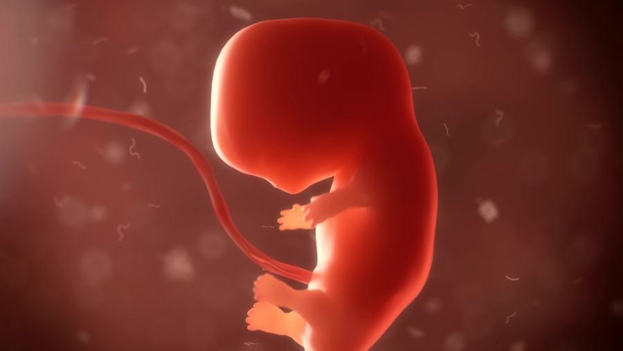 Две жени износиха едно бебе за първи път в историята на медицината