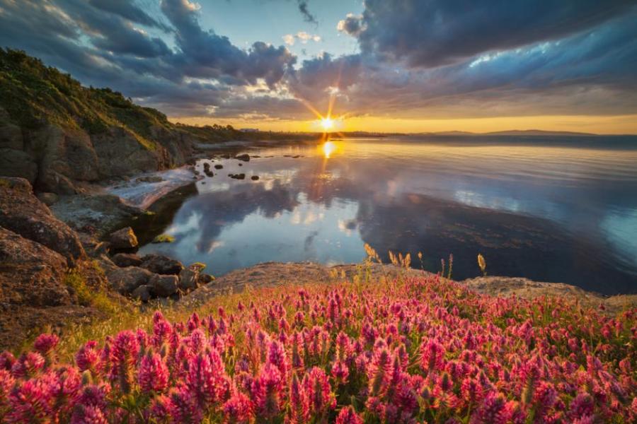 Идеи за лятна ваканция - къде, кога и колко ще ни струва