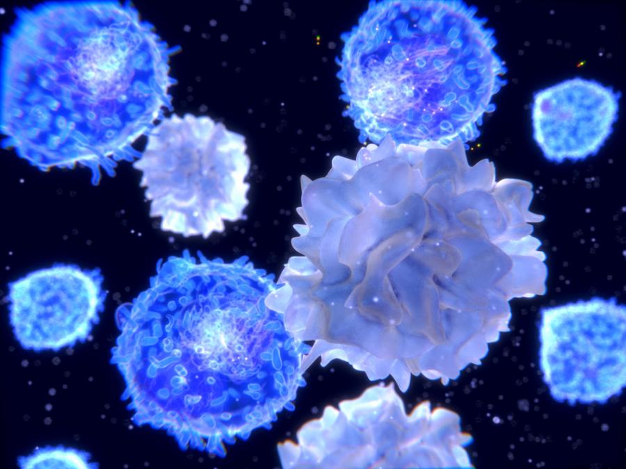 Създадоха клетки, убиващи рака