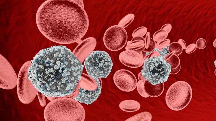 Една впечатляваща хипотеза, която може да обясни (и да предотврати) СПИН 