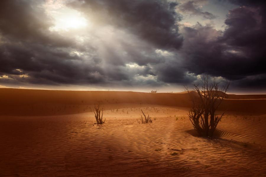 Второ предупреждение на учените: времето на човечеството изтича!