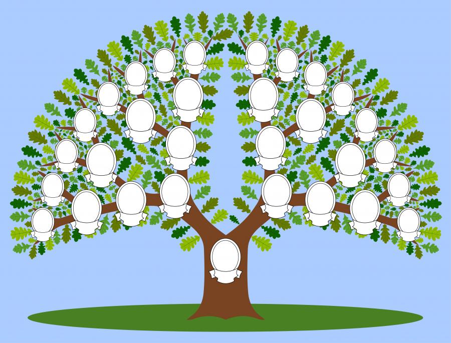 Създадоха родословно дърво с 13 милиона души