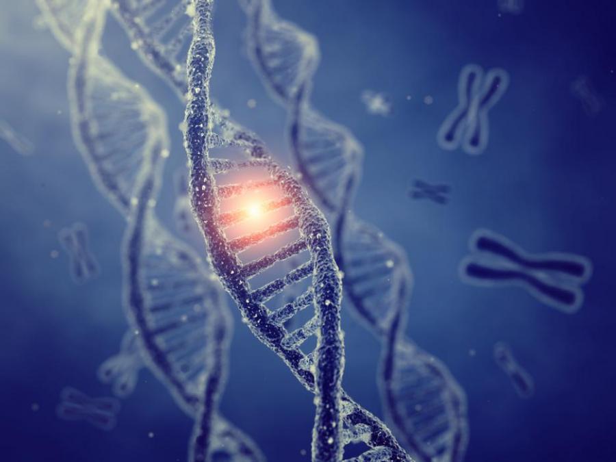 Древен вирус в гените влияе на пристрастеността