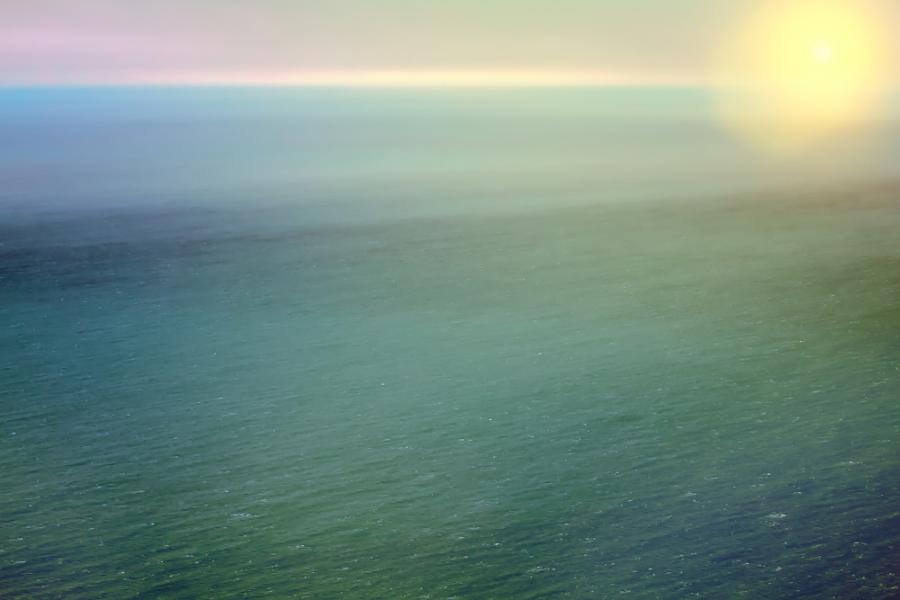 Шестото глобално масово измиране ще дойде по-скоро според математик