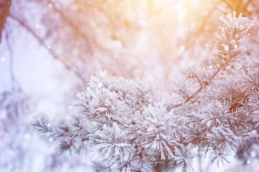 Експерименти у дома: Направи си сняг