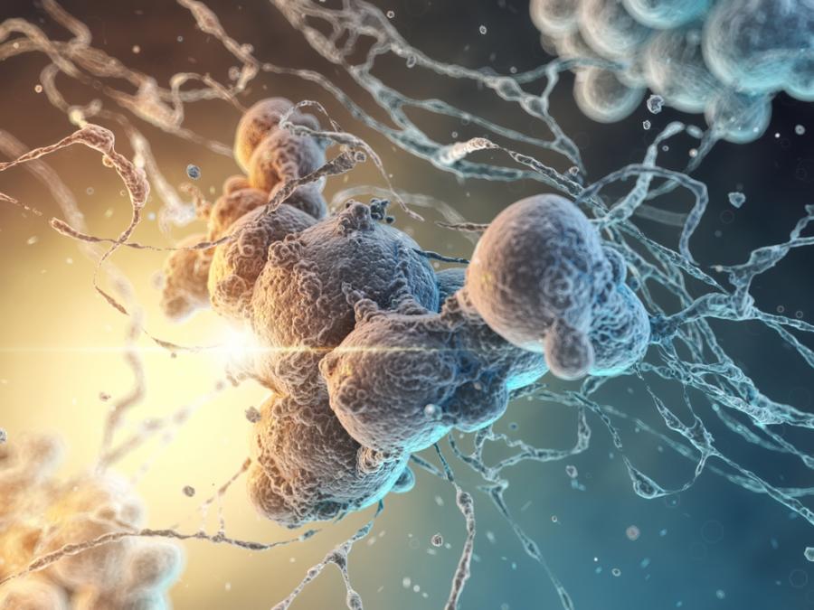 Бактерия на 2.5 милиарда години предхожда появата на кислород на Земята