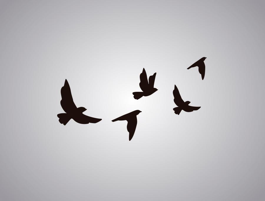 Кой е Харун Яхя и какво казва за живеенето