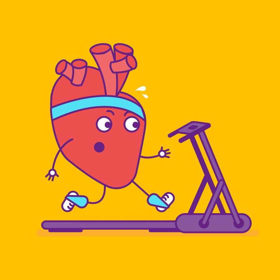 Бърз и лесен тест разкрива колко здраво е сърцето ви