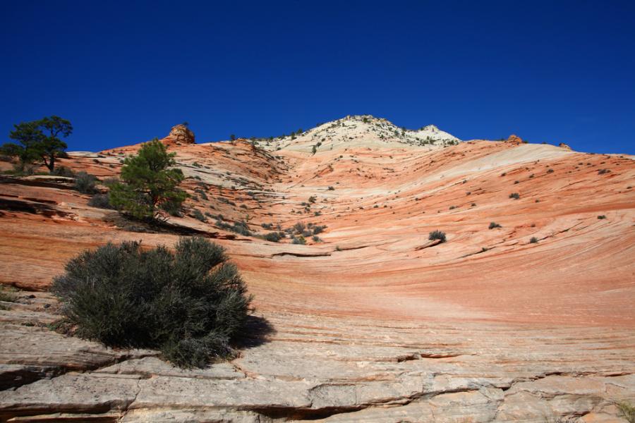 Видео: Анимация на структурата на Земята