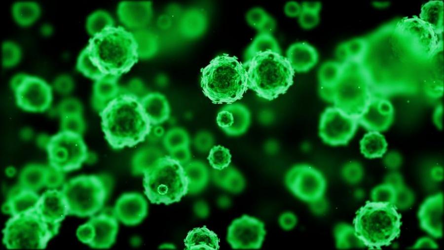 Опустошителен прион се спотайва в мозъка 30 години преди да атакува