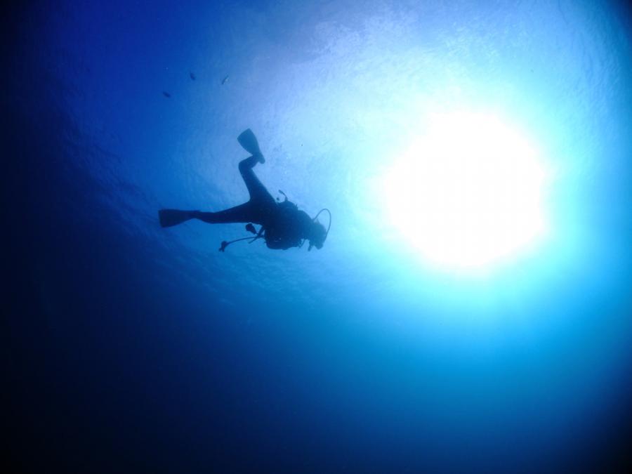 Видео: Торнадо от риби