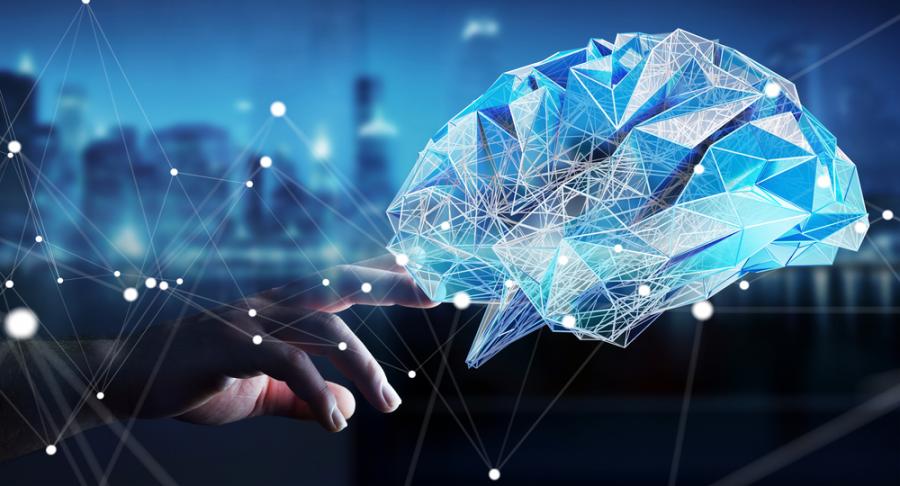 Учени създават библиотека от мозъци