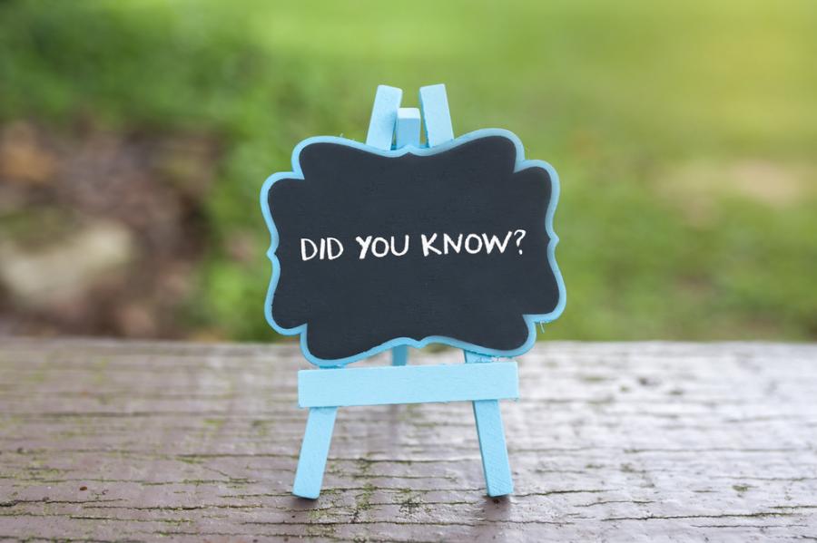 Интересно. Любопитно. Забавно