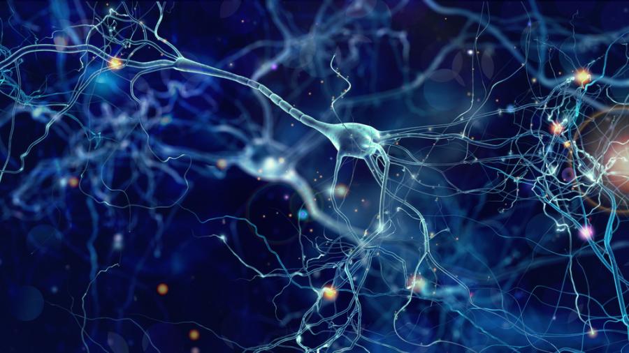 Учените откриха клетките в мозъка, които реагират на медитация