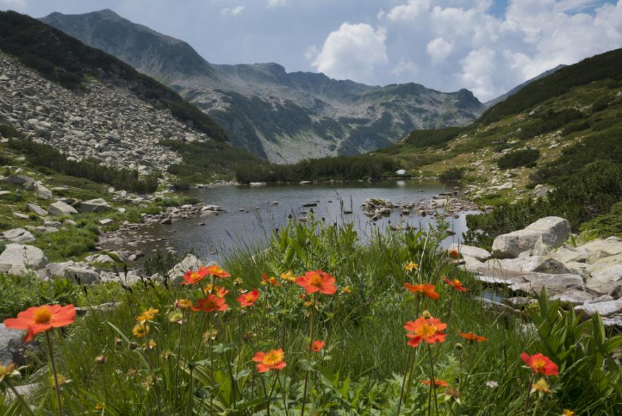 Министърът на околната среда заплашва бъдещето на националните паркове
