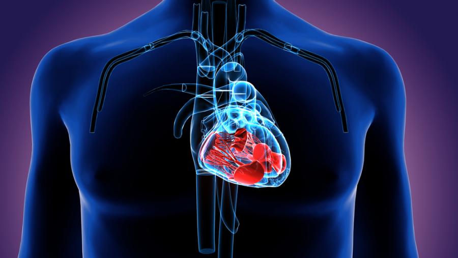 Малките ежедневни дейности, които ще окажат големи ползи за  здравето ви