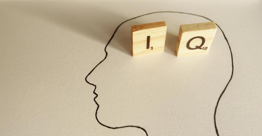 Защо нашият коефициент на интелигентност е по-висок от този на бабите и дядовците ни?