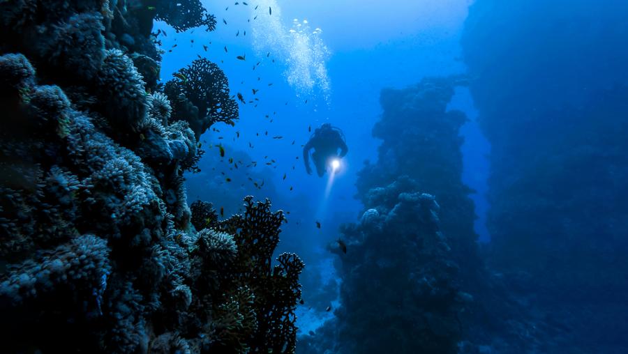 Мистериите и чудесата на дълбокия океан